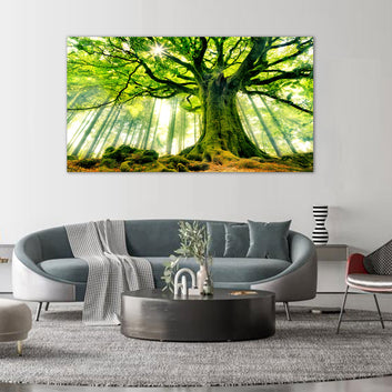 Serene Forest Canopy Large Tree Canvas Wall Art