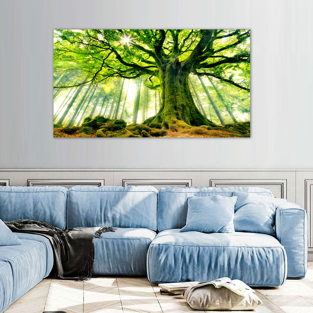 Serene Forest Canopy Large Tree Canvas Wall Art