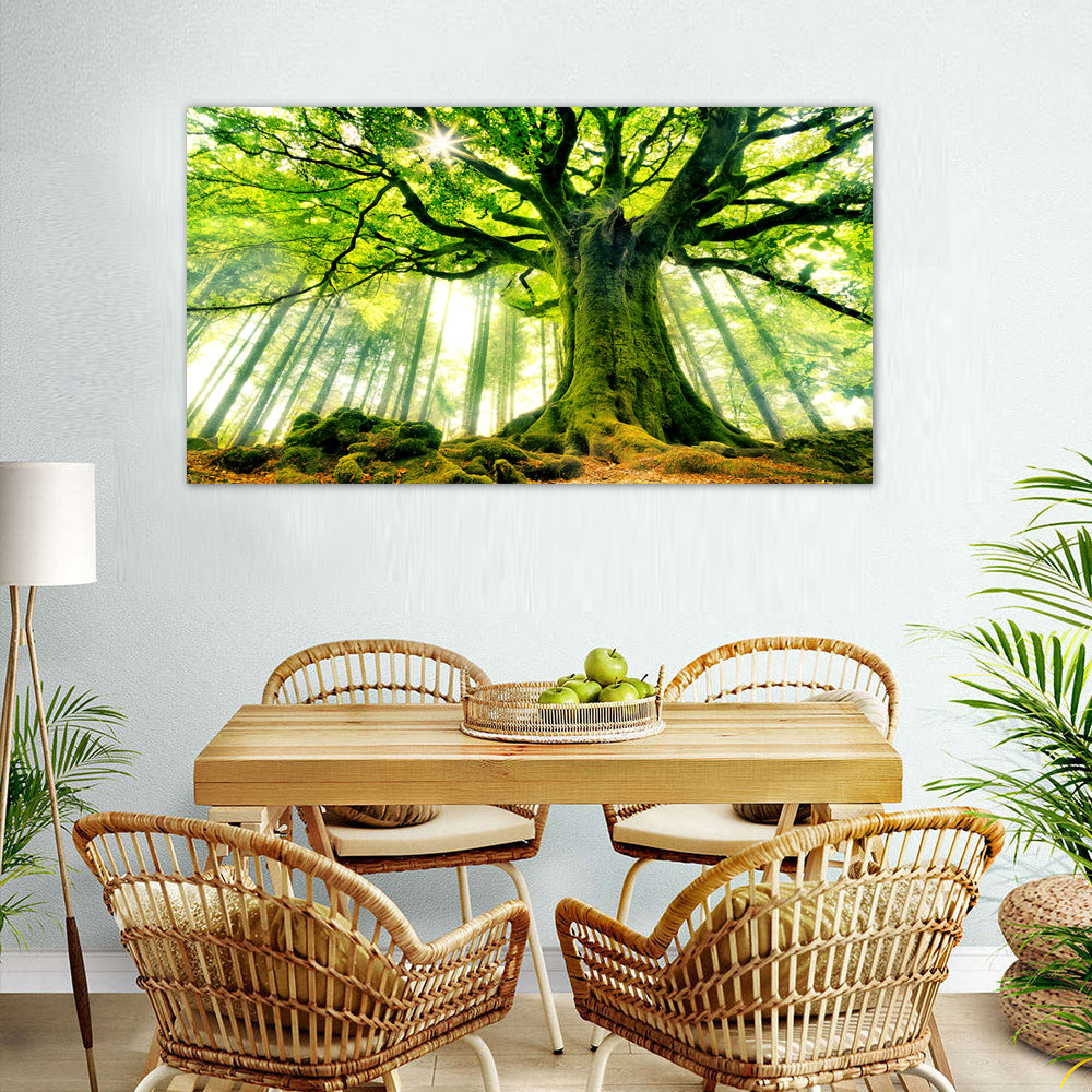 Serene Forest Canopy Large Tree Canvas Wall Art