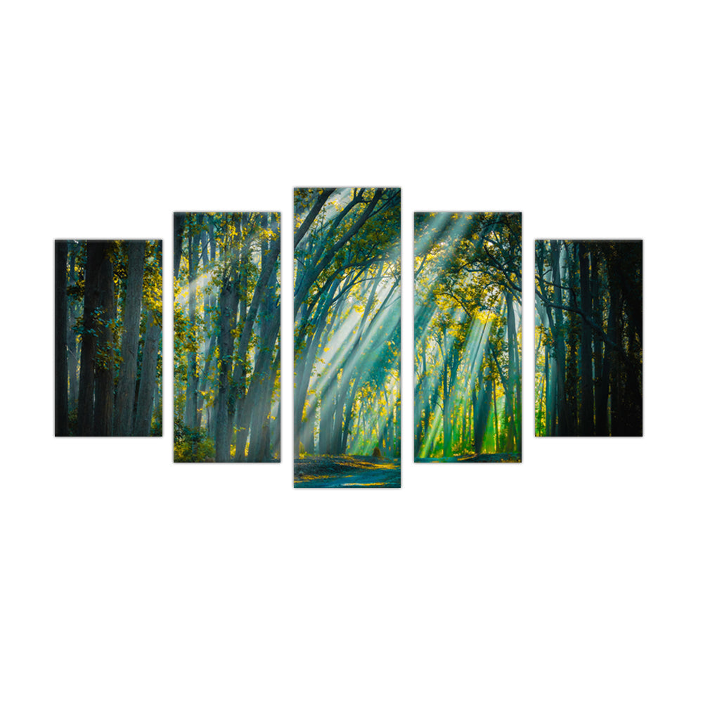 Enchanted Forest: 5-Piece Sunlight Through Trees Canvas Wall Art Set