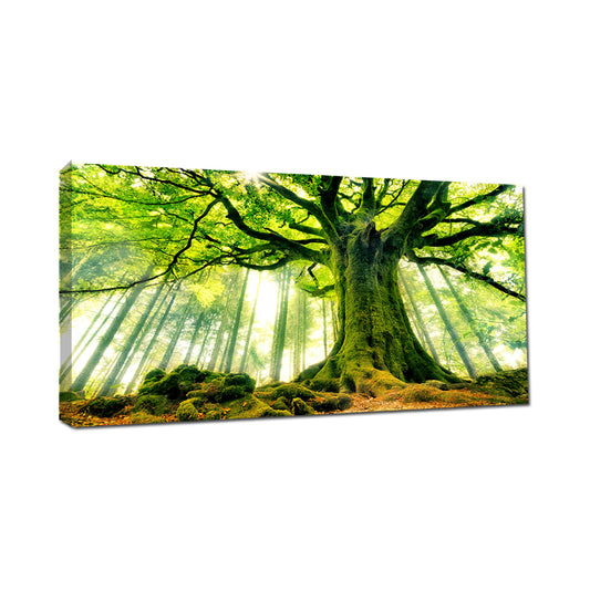 Serene Forest Canopy Large Tree Canvas Wall Art