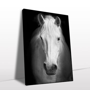 Majestic White Horse Canvas Wall Art