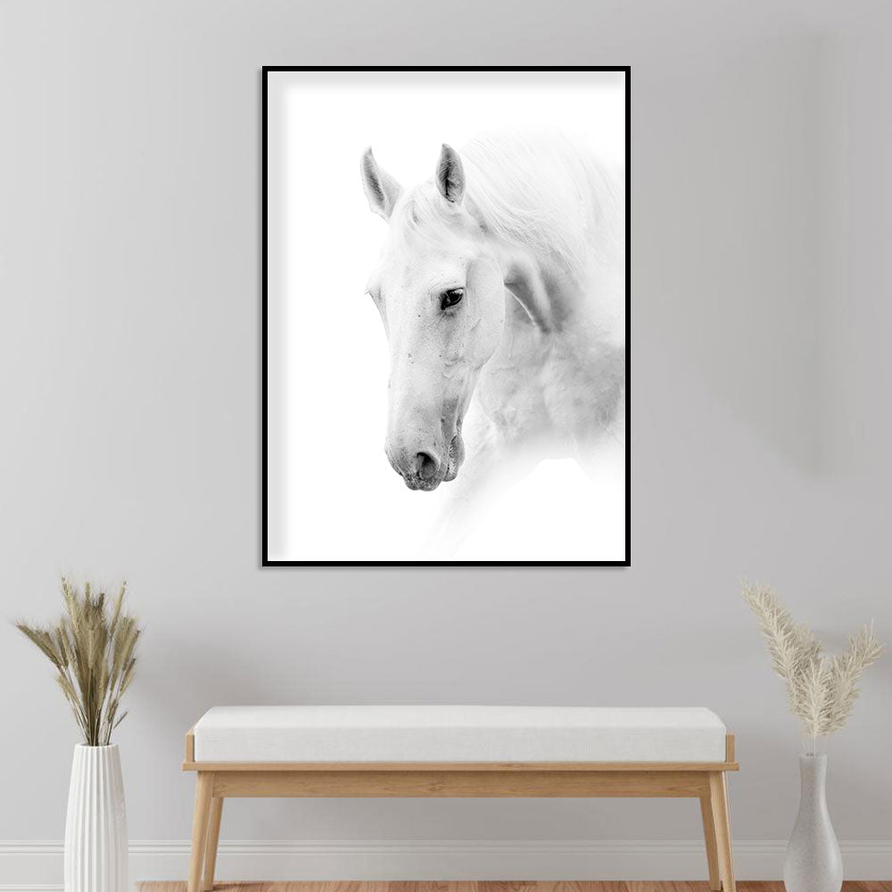 Elegant White Horse Canvas Wall Art