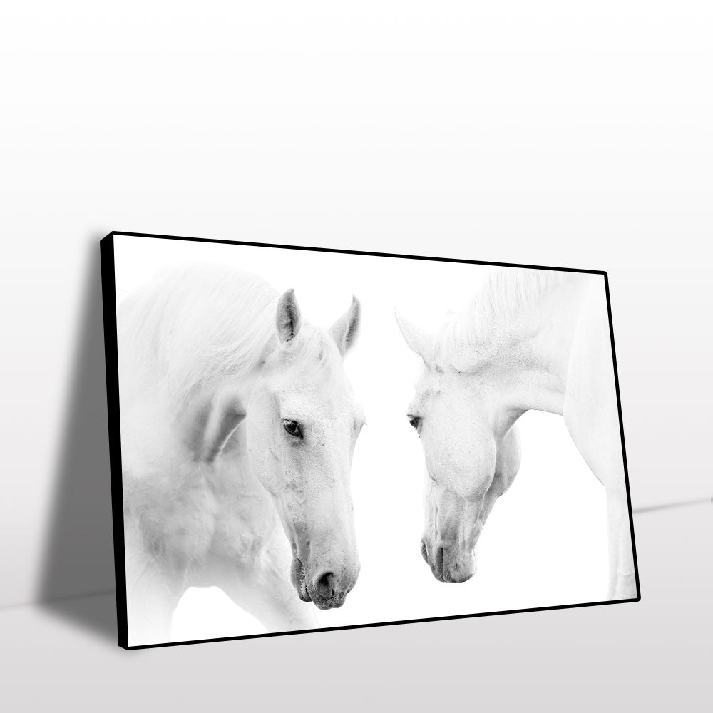 Serene White Horses Canvas Wall Art