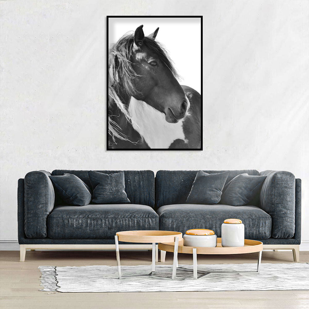 Majestic Black and White Horse Canvas Wall Art