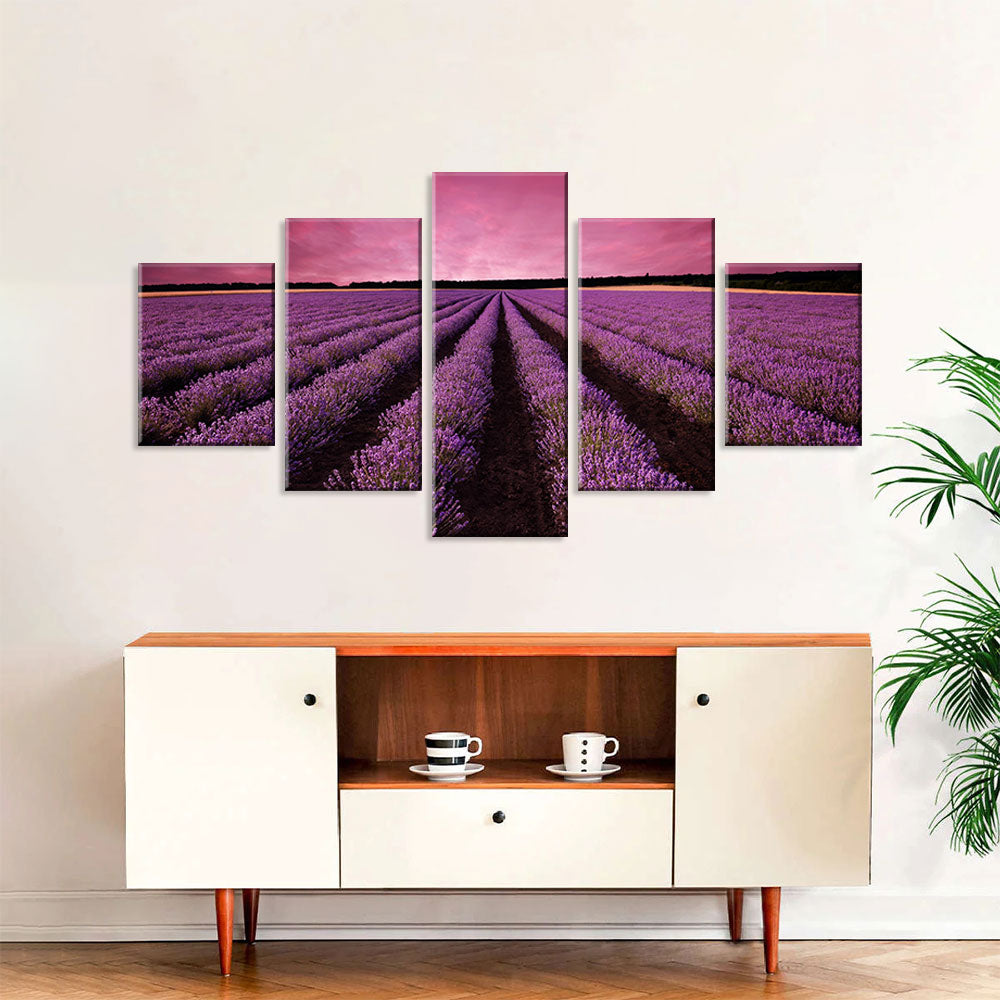 Lavender Field in Sunset Canvas Wall Art