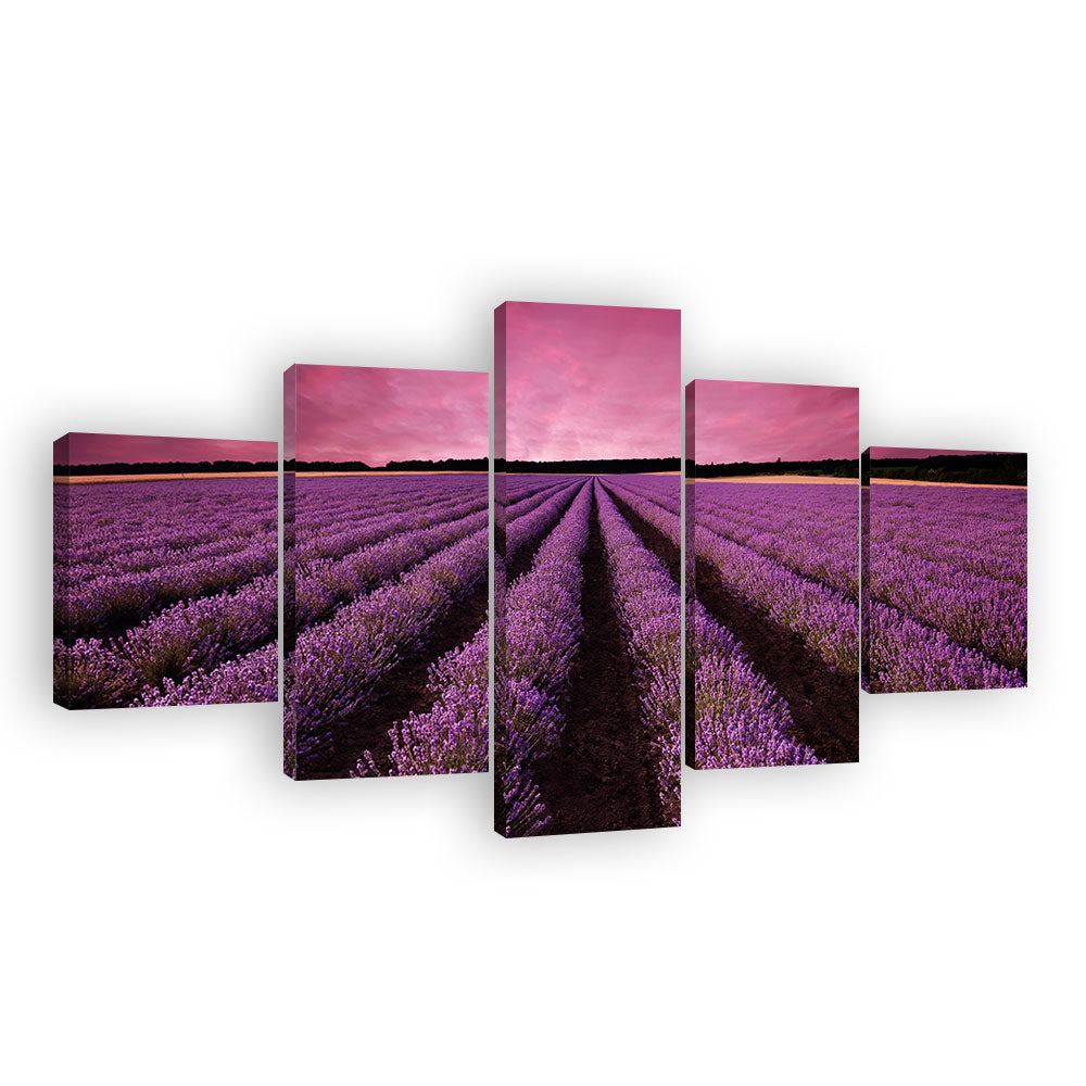 Lavender Field in Sunset Canvas Wall Art