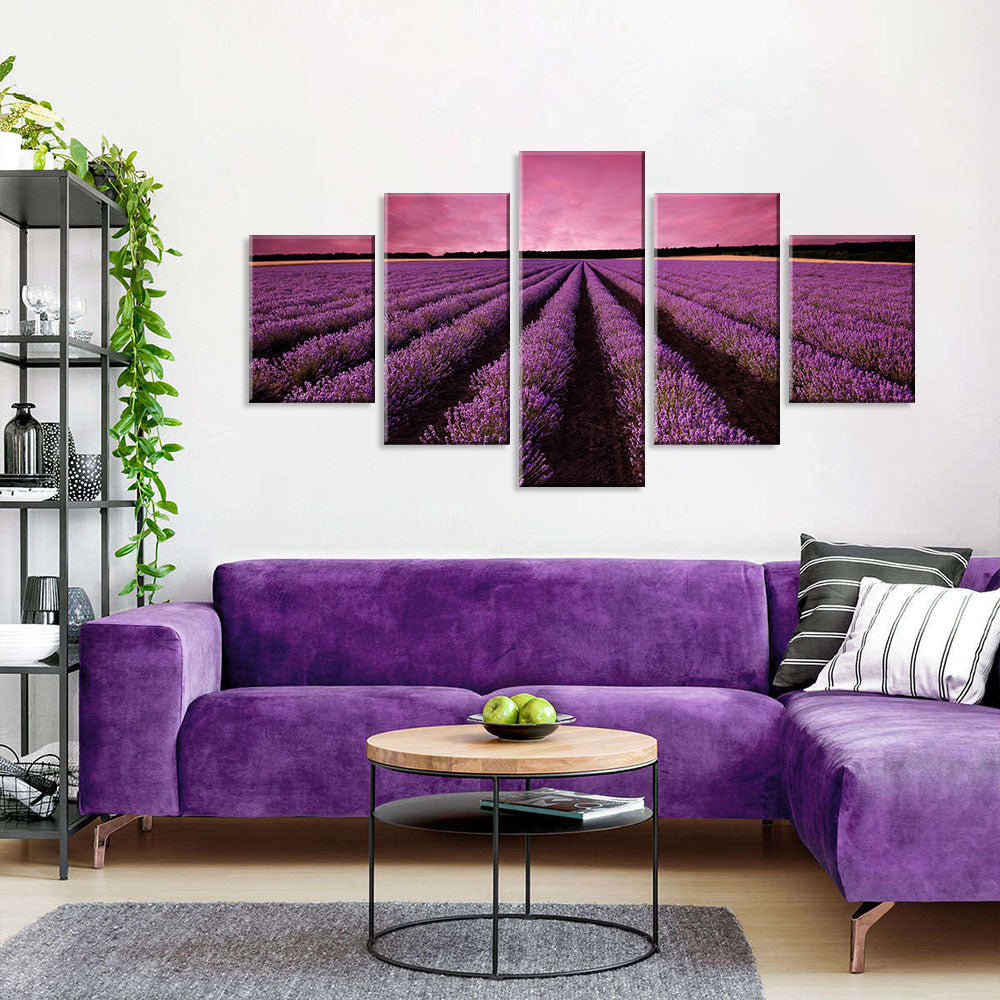 Lavender Field in Sunset Canvas Wall Art