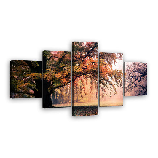 Colorful Tree in Autumn Park Canvas Wall Art