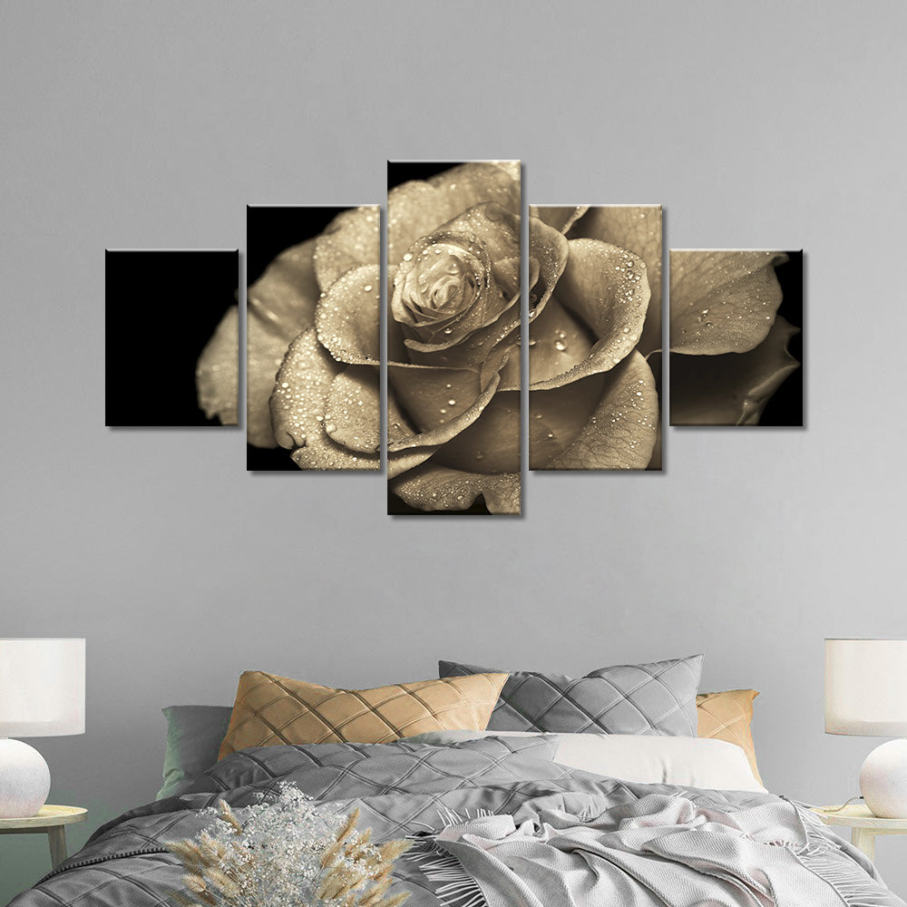 Lovely Rose with Dewdrop canvas wall art