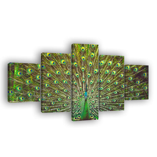 Beautiful Green Peacock Feather Canvas Wall Art