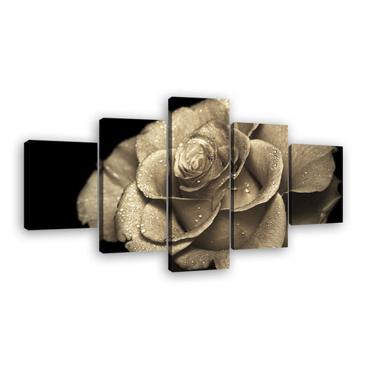 Lovely Rose with Dewdrop Canvas Wall Art
