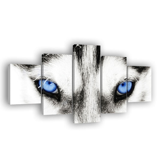 White Wolf with Blue Eyes Canvas Wall Art