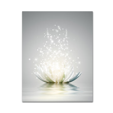 Illuminated Lotus Flower Canvas Wall Art