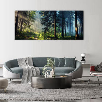 Enchanted Forest Morning Light Canvas Wall Art