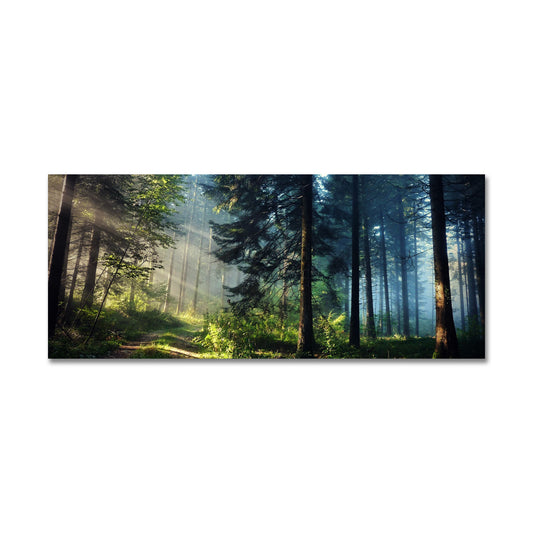 Enchanted Forest Morning Light Canvas Wall Art