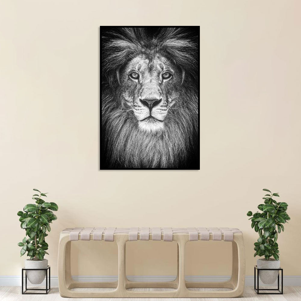 Majestic Lion Black and White Canvas Wall Art