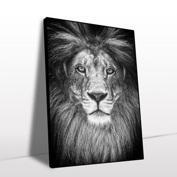 Majestic Lion Black and White Canvas Wall Art