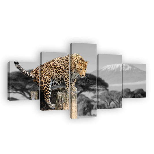 Leopard Standing on Tree Root Canvas Wall Art