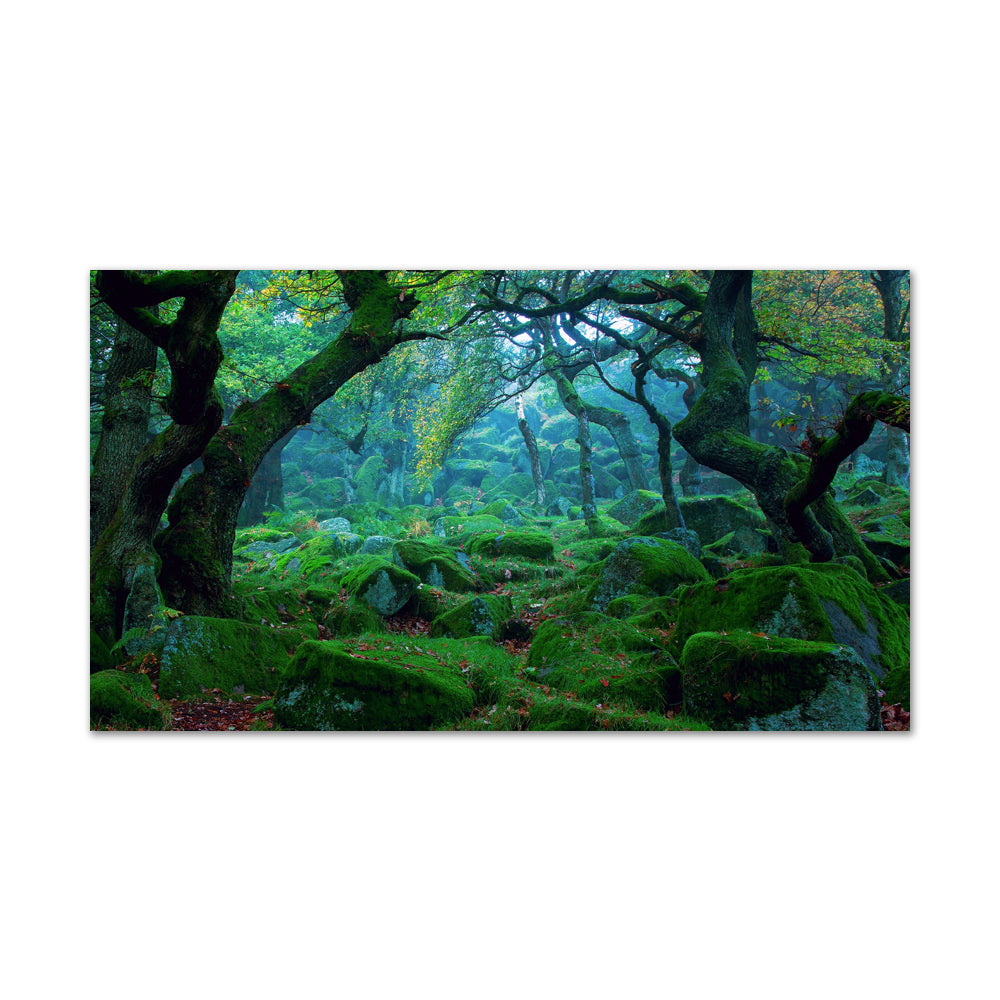 Mystical Woodland Escape Canvas Wall Art