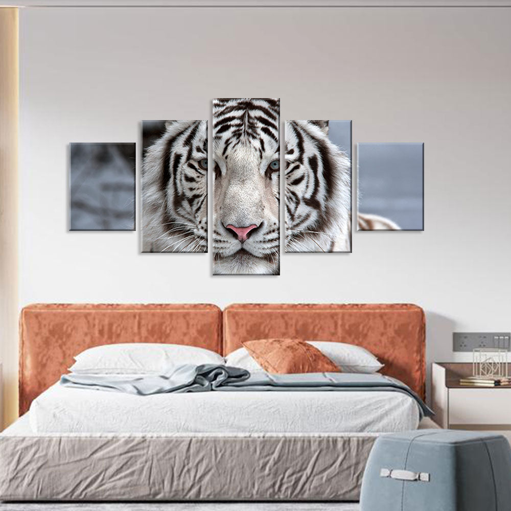 White Bengal Tiger Face Canvas Wall Art