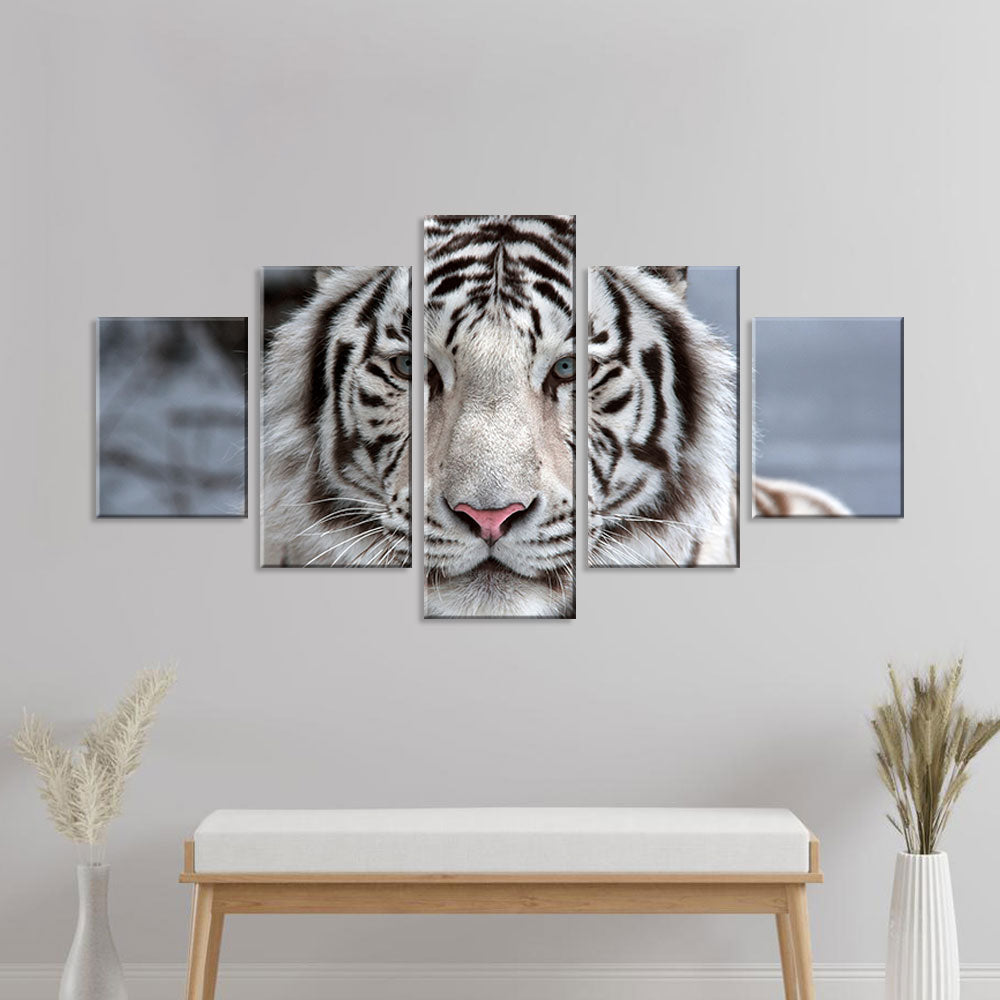 White Bengal Tiger Face Canvas Wall Art