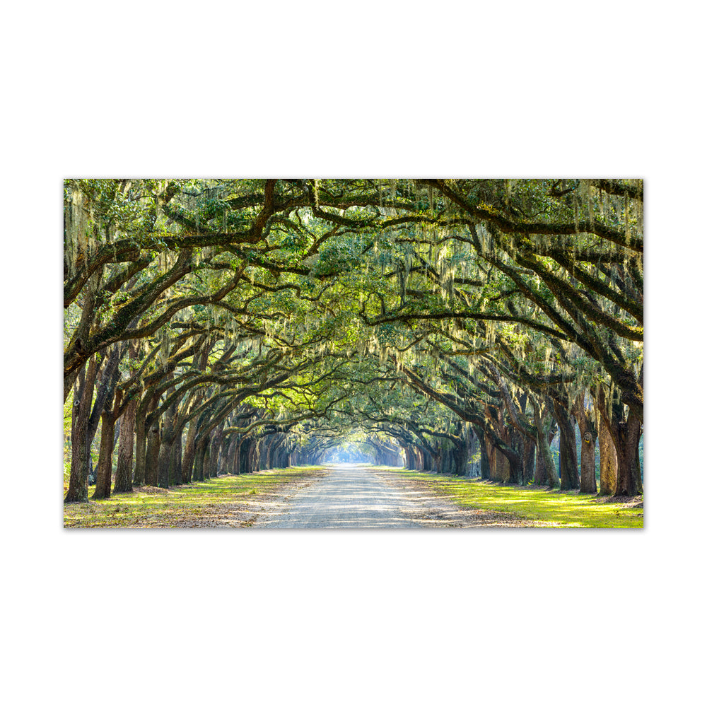 Enchanted Forest Path Canvas Wall Art