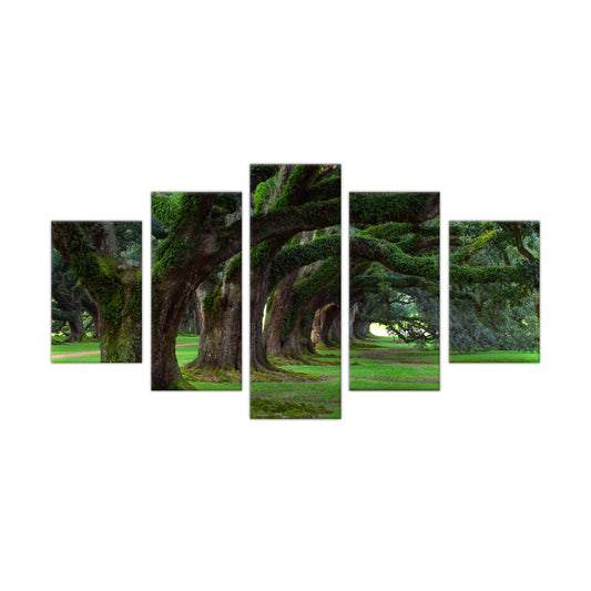 Enchanted Forest Path: 5-Piece Tree Landscape Canvas Wall Art Set