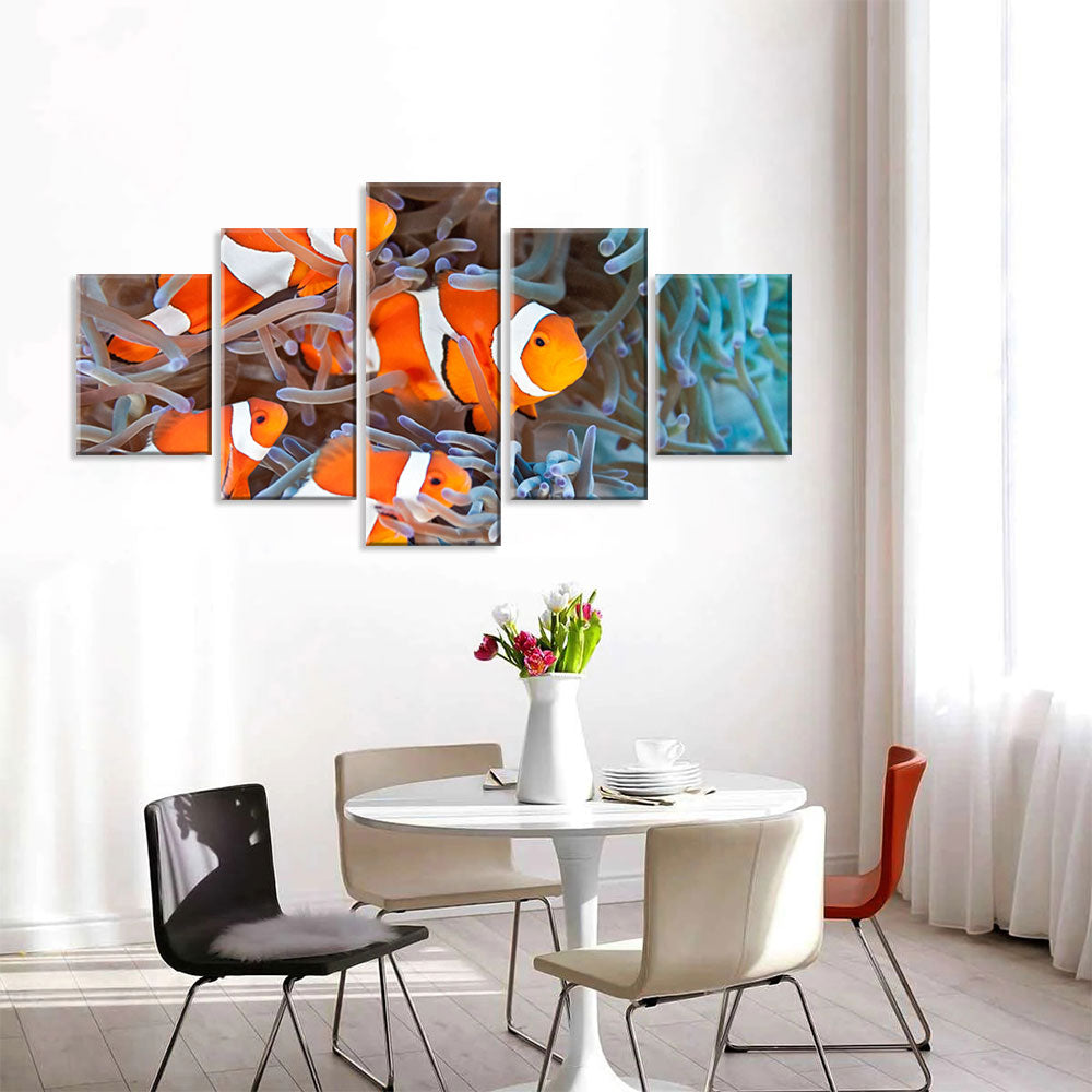 Four Clownfish with Coral Reef Canvas Wall Art