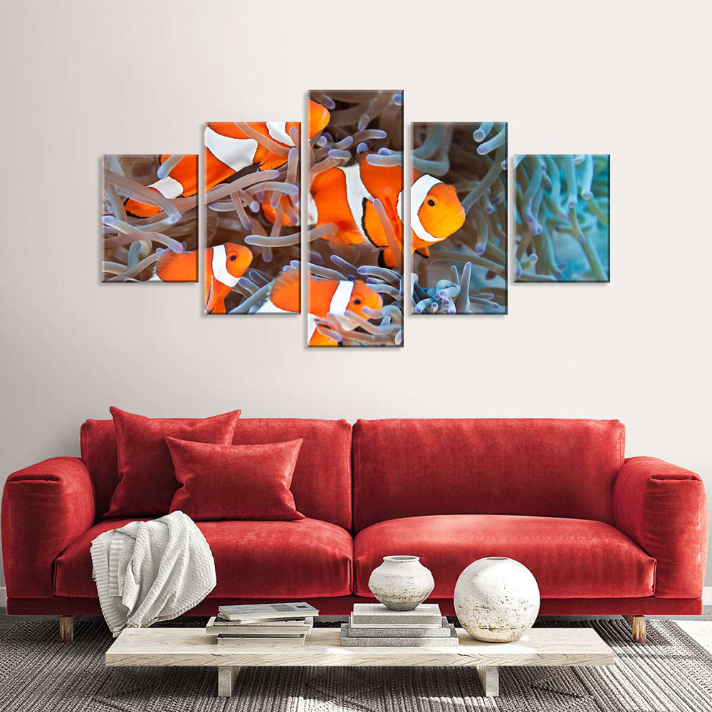 Four Clownfish with Coral Reef Canvas Wall Art