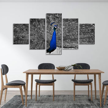 Gray Tailed Blue Peacock Canvas Wall Art