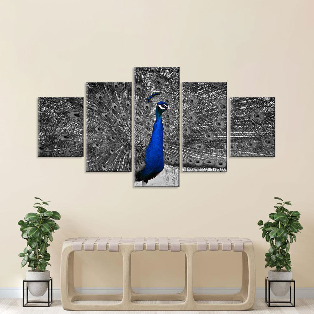 Gray Tailed Blue Peacock Canvas Wall Art