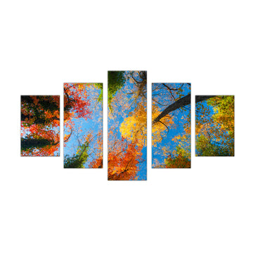 Autumn Leaves Canopy: 5-Piece Colorful Tree Tops Canvas Wall Art Set