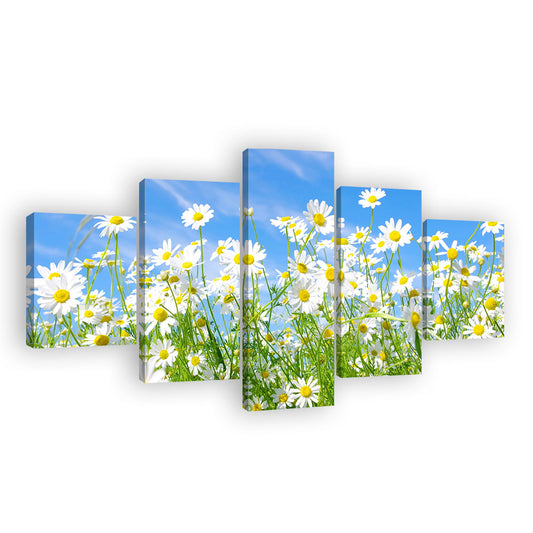 Sunshine Blooming White Daisy Flowers Canvas Wall Art
