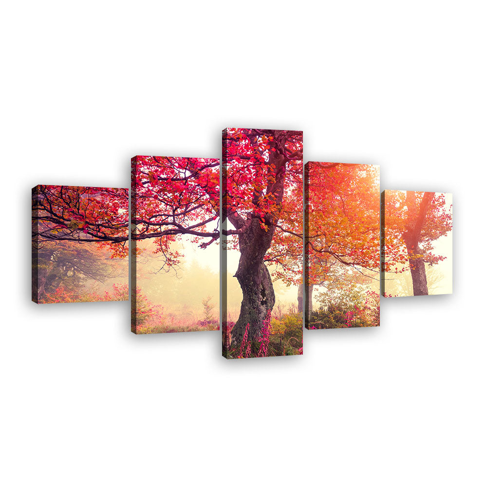 Red Autumn Trees in Forest canvas wall art