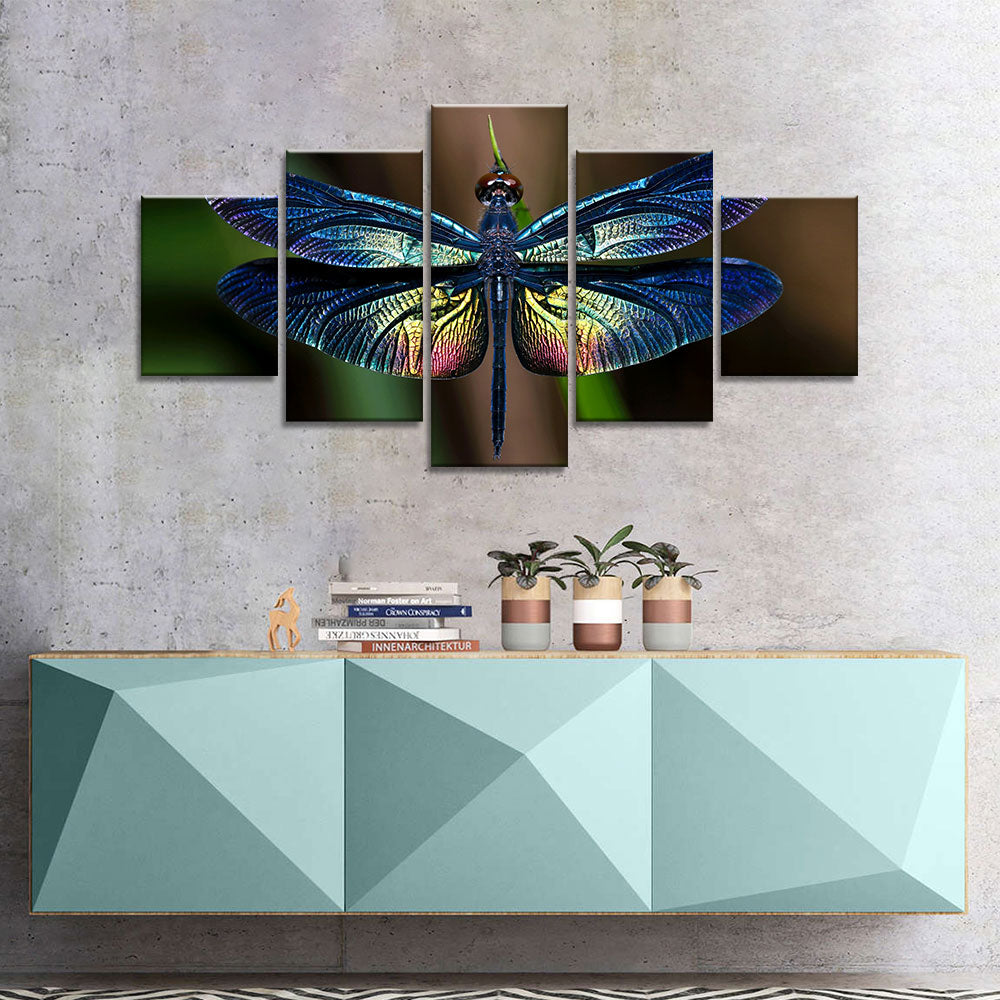 5 piece dragonfly canvas wall art