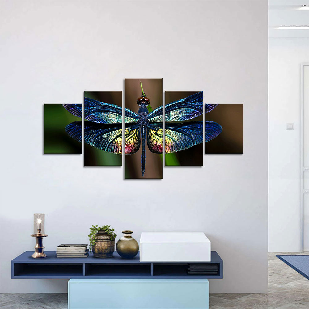 5 piece dragonfly canvas wall art