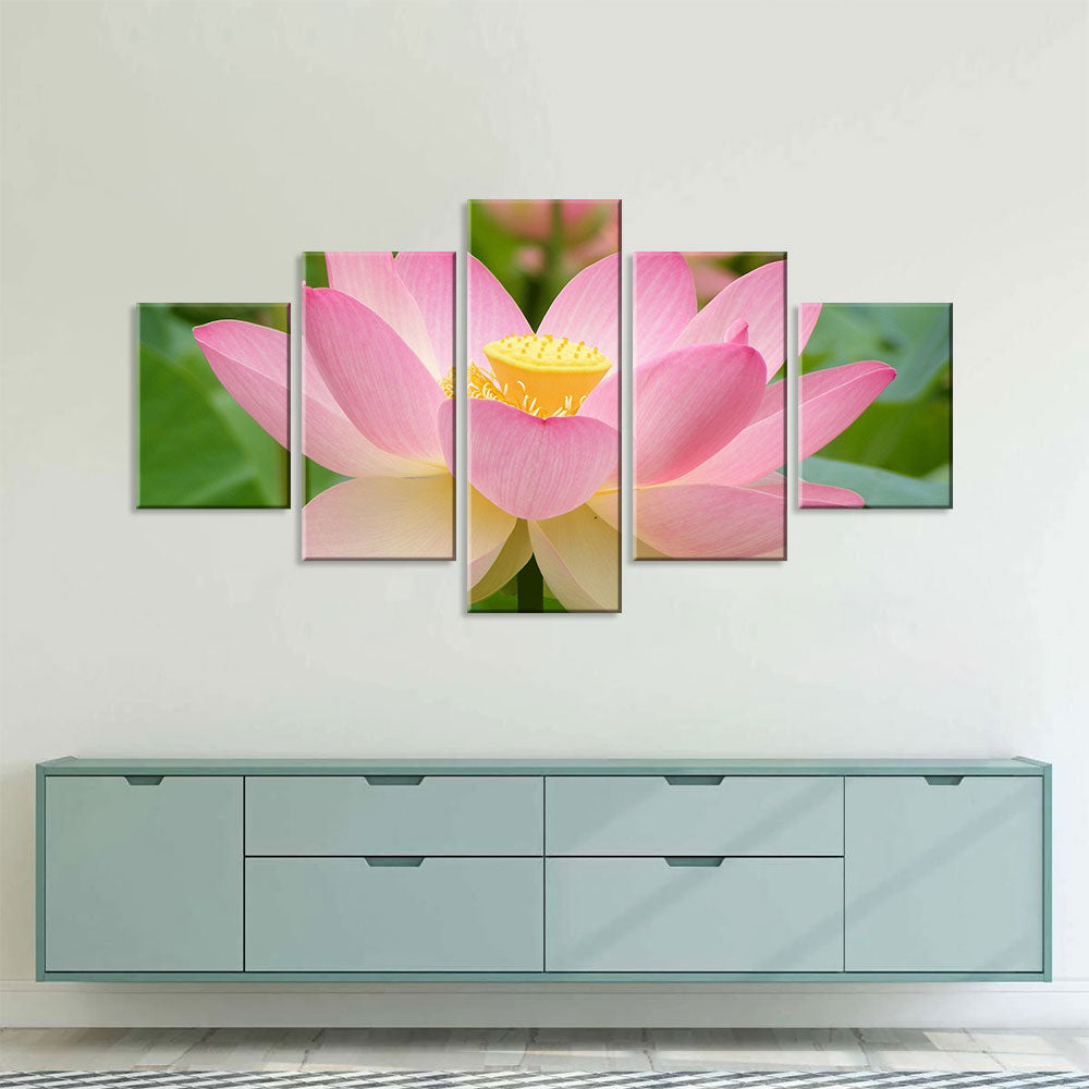 Pink Lotus Flower Canvas Wall Art