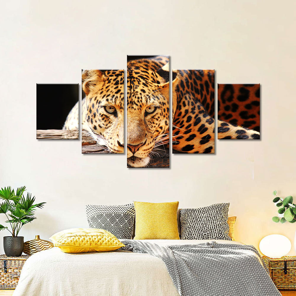 Leopard Resting on Tree Canvas Wall Art