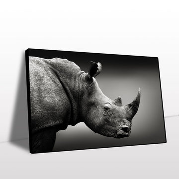 Regal Rhino Black and White Canvas Wall Art