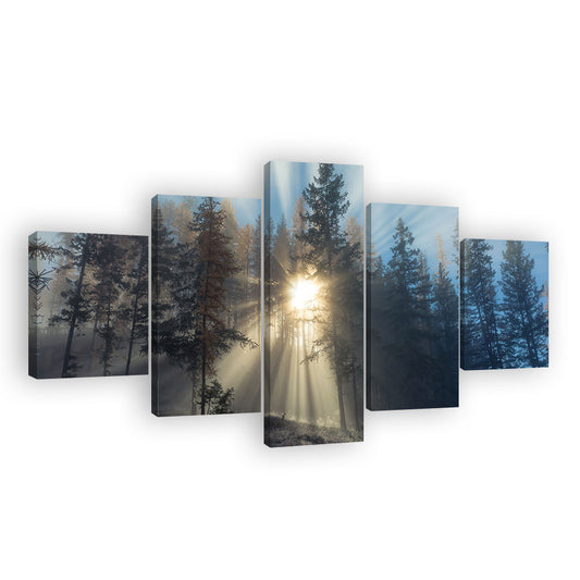 Foggy Forest Sunrise Canvas Wall Art