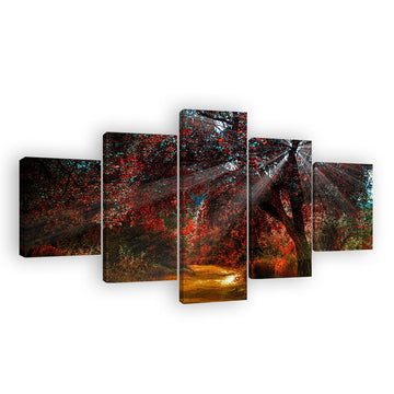 Sunlight Through Autumn Trees Canvas Wall Art