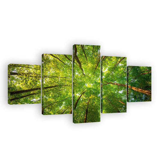 Green Sunshine from Top Trees Canvas Wall Art