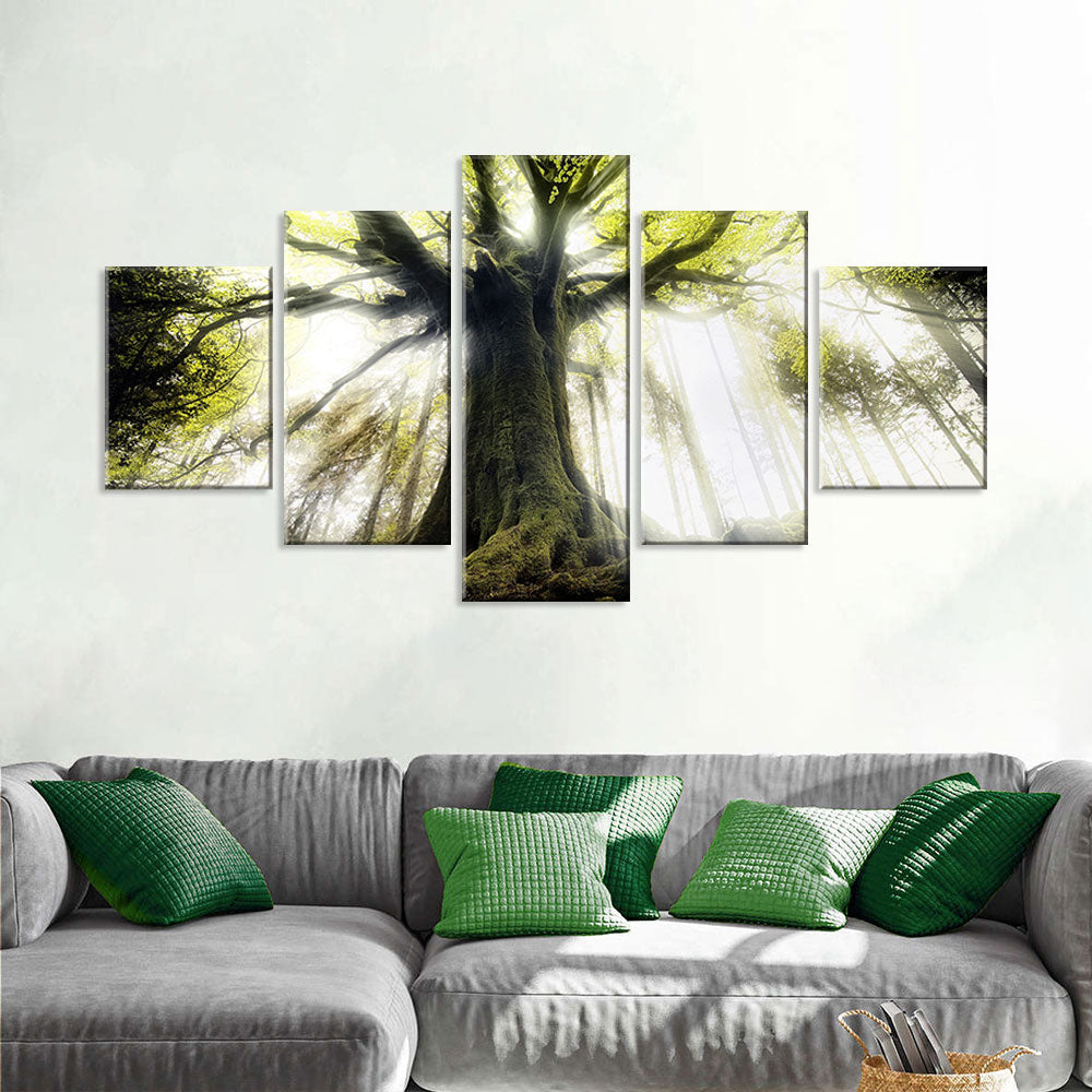 Majestic Pontus Tree Canvas Wall Art