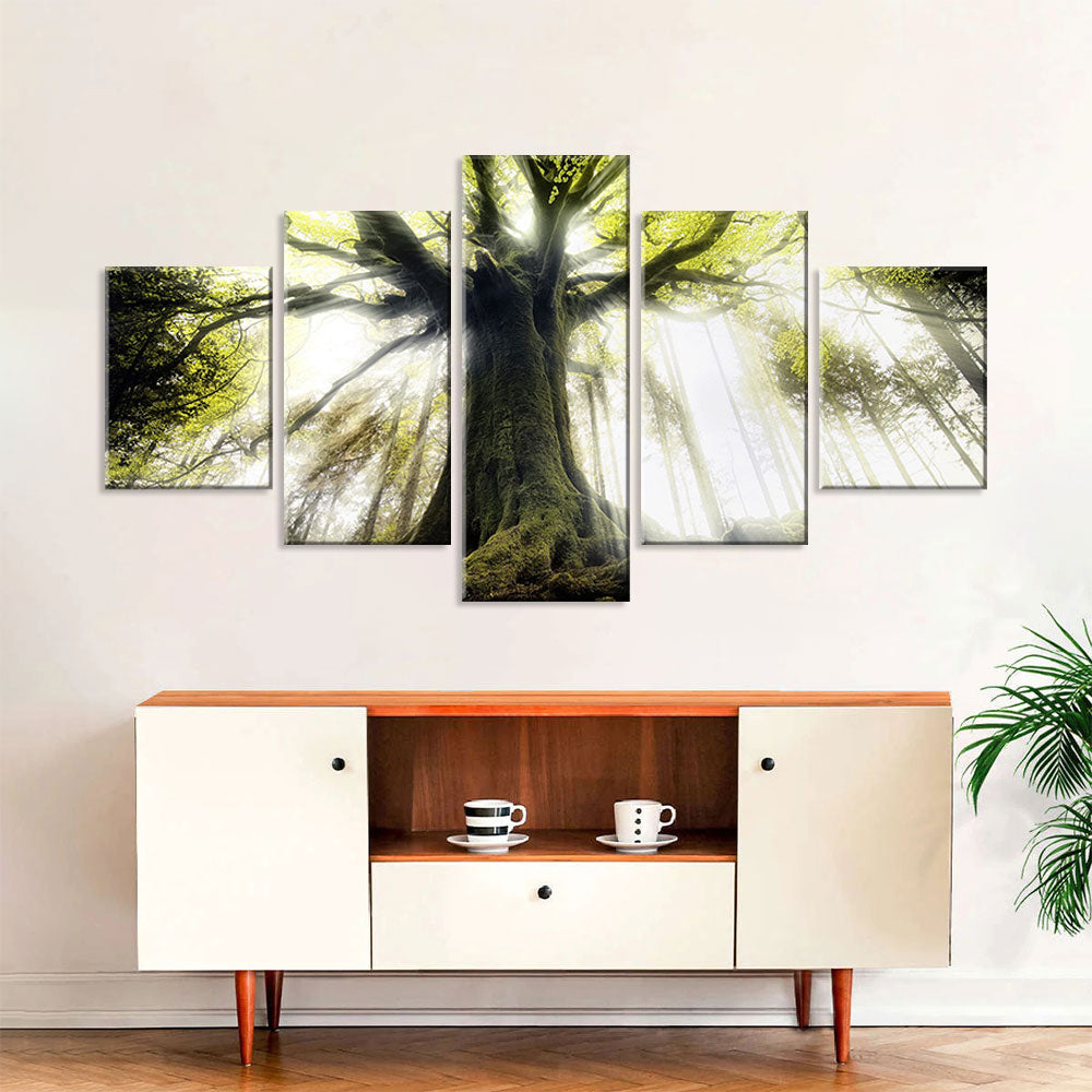 Majestic Pontus Tree Canvas Wall Art