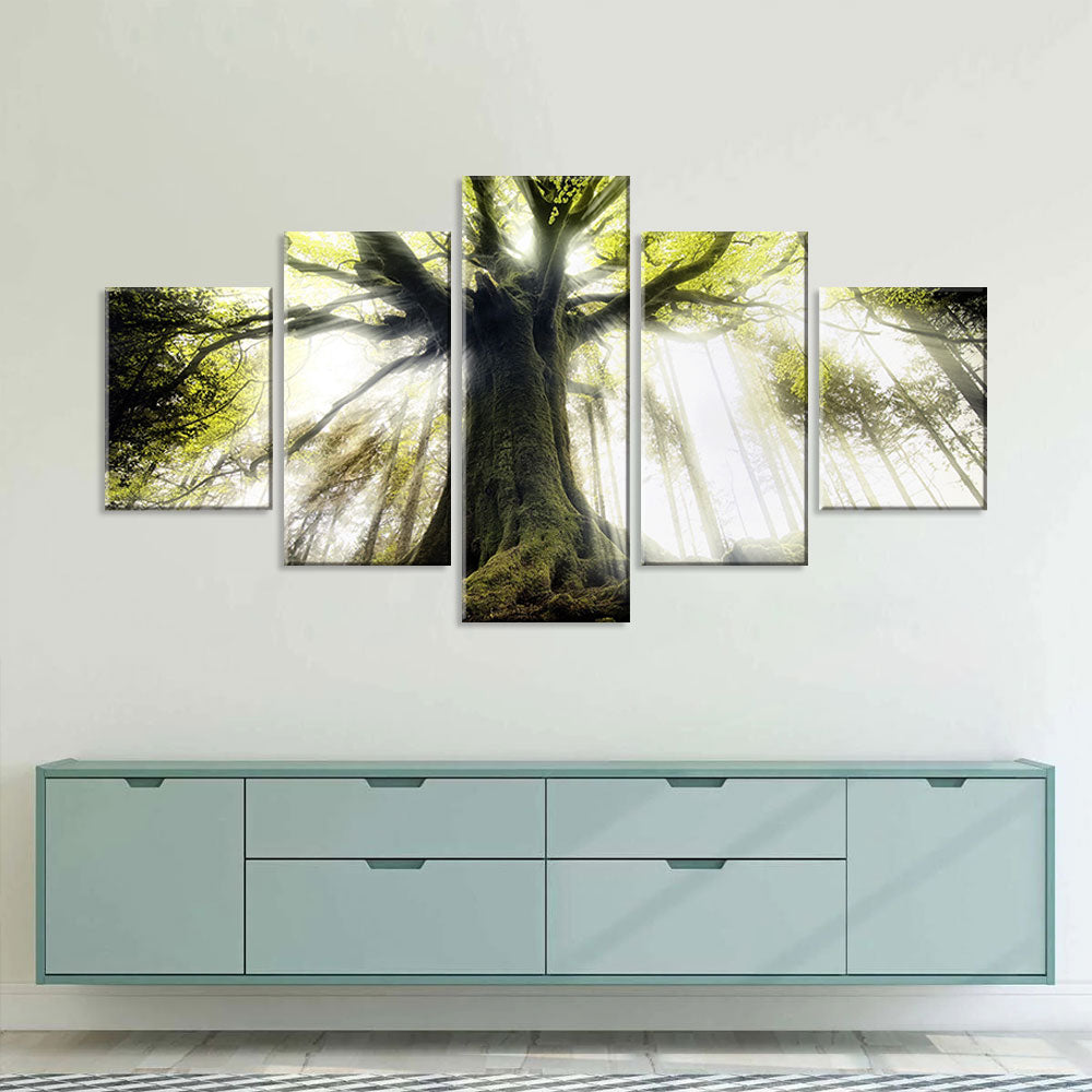 Majestic Pontus Tree Canvas Wall Art