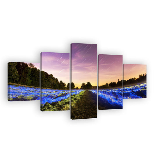 Night Field Long Exposure Canvas Wall Art