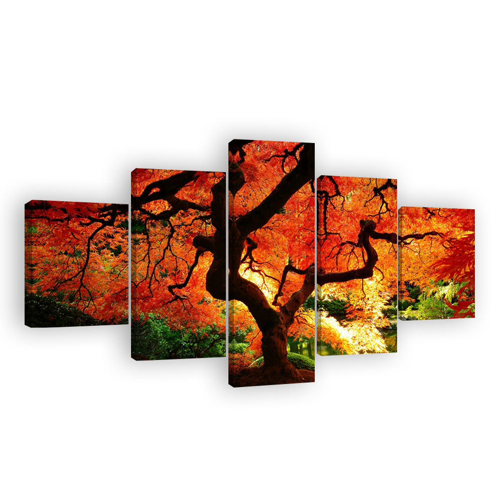 Sunlit Forest with Red Trees Canvas Wall Art