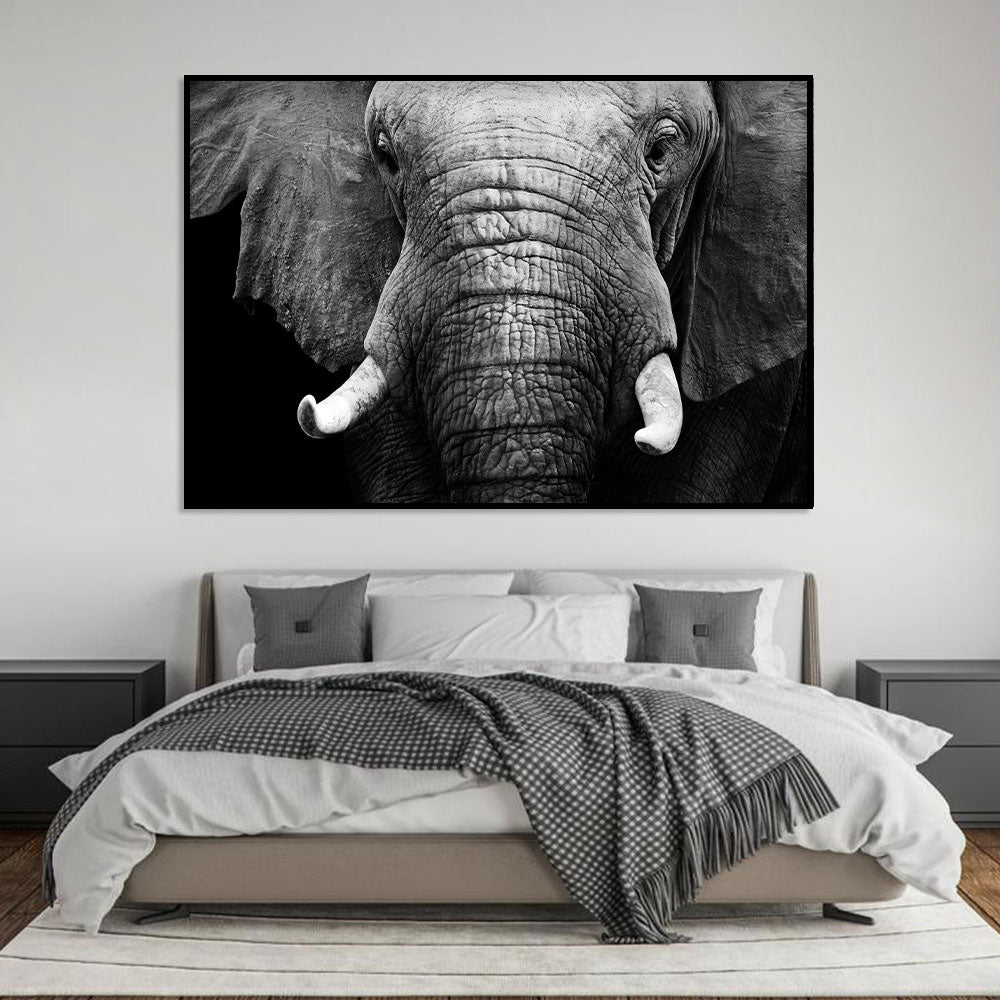 Majestic Elephant Black and White Canvas Wall Art 