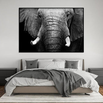 Majestic Elephant Black and White Canvas Wall Art